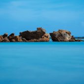 Algen liefern Omega-3-Fettsäure DHA