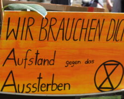 Wir brauchen mehr Ungehorsam